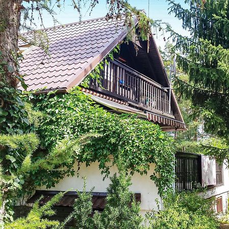 Holiday home Dziemiany Radun Zewnętrze zdjęcie